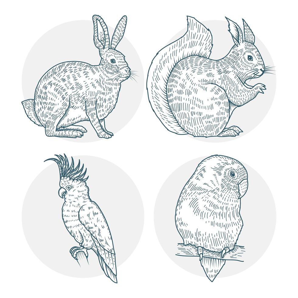 Hand drawn animal set vector