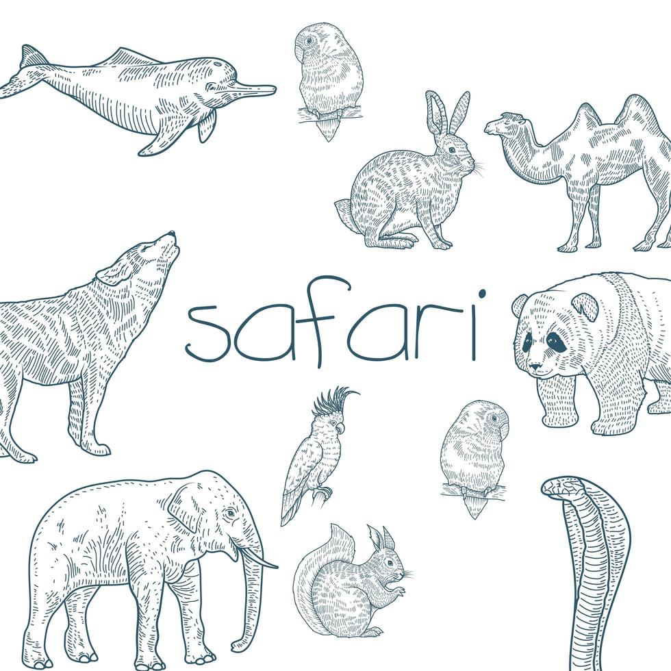 Hand drawn safari animal set vector
