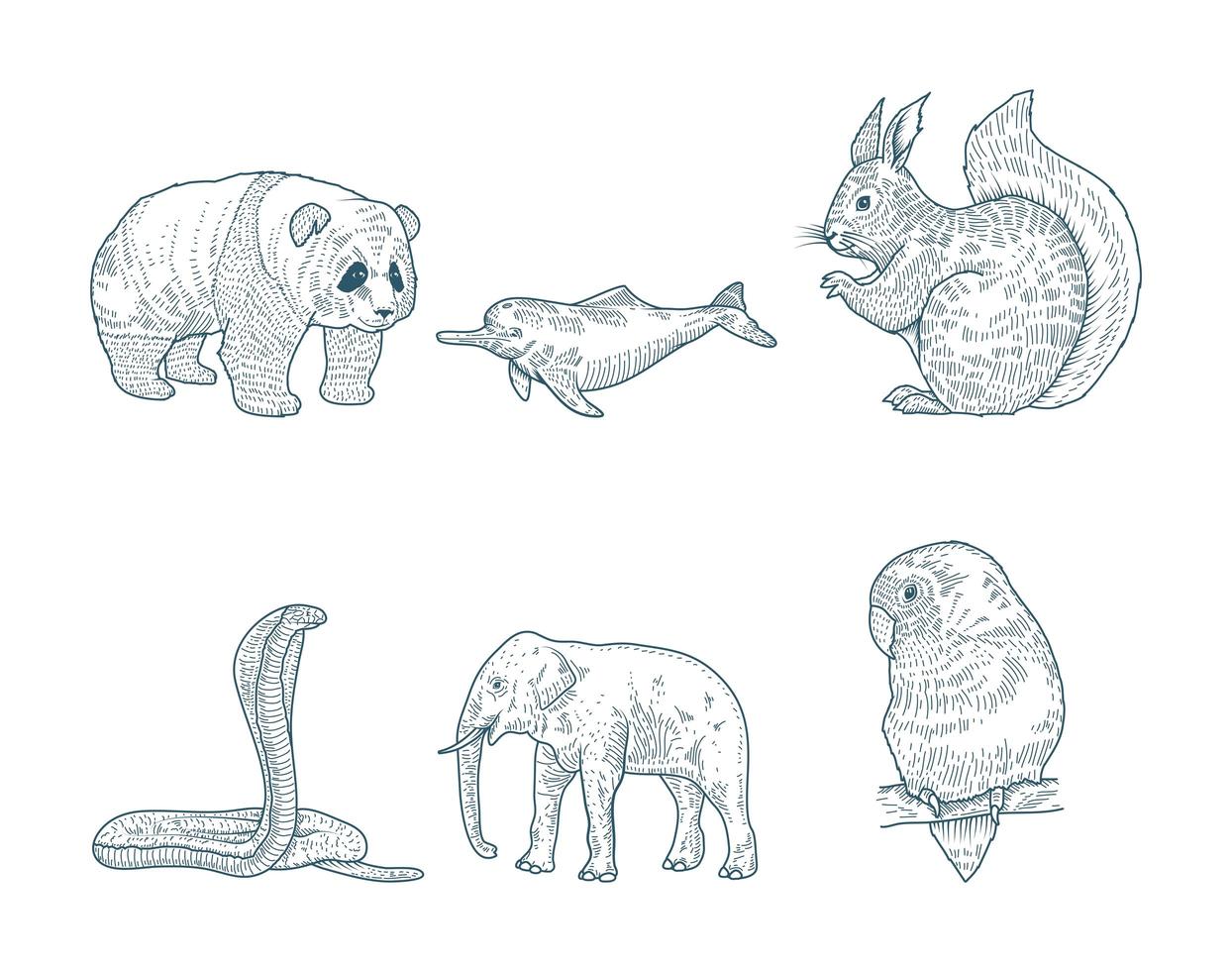 Hand drawn animal set vector