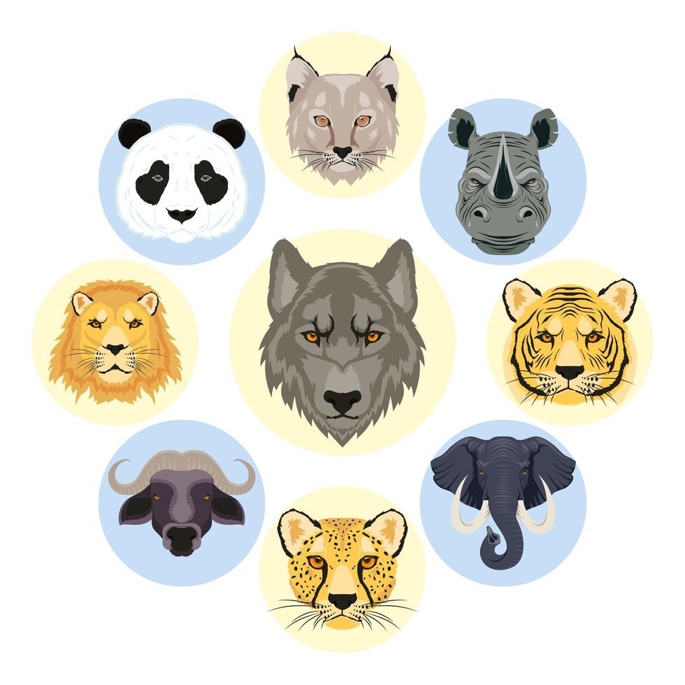conjunto de cabeza de personajes de animales salvajes vector