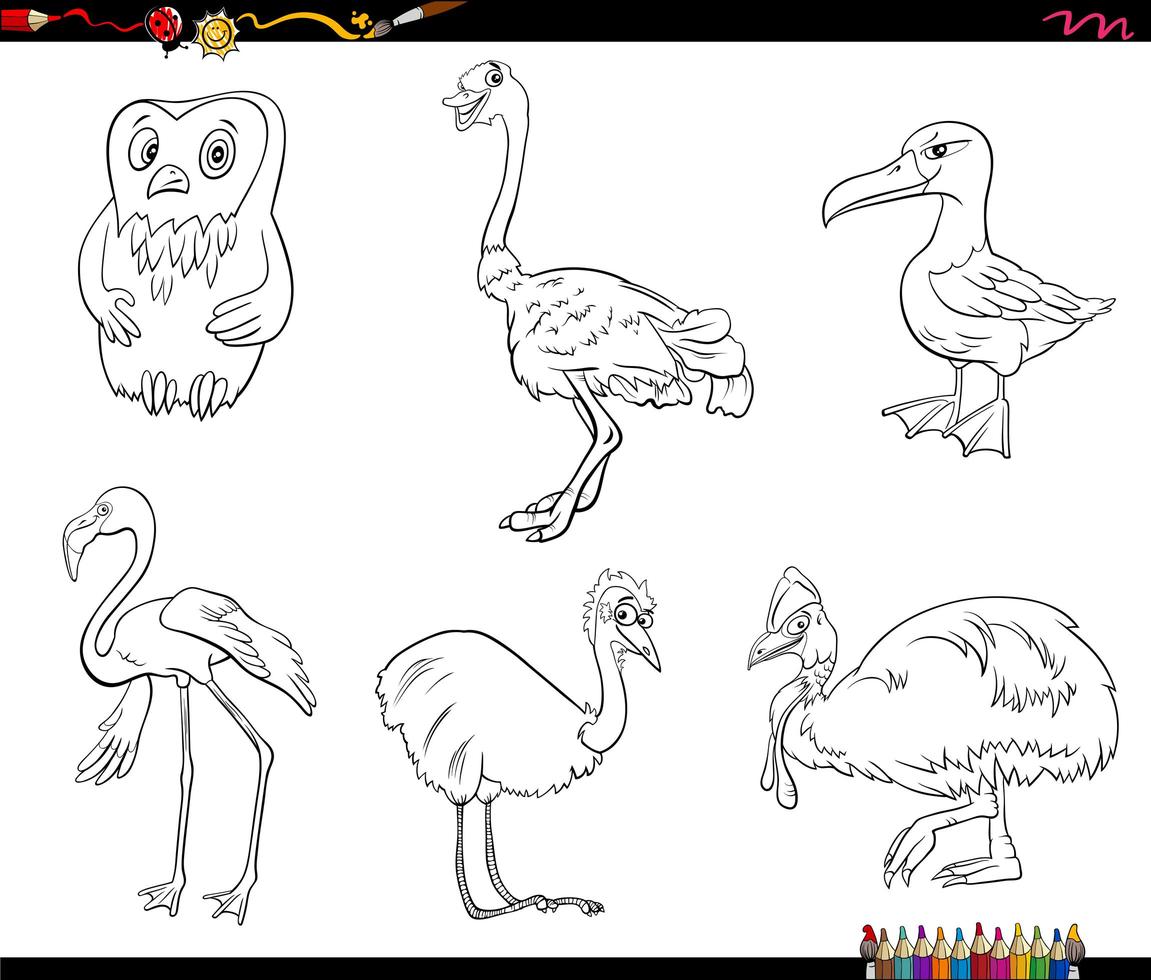 cartoon birds animal characters set coloring book page vector