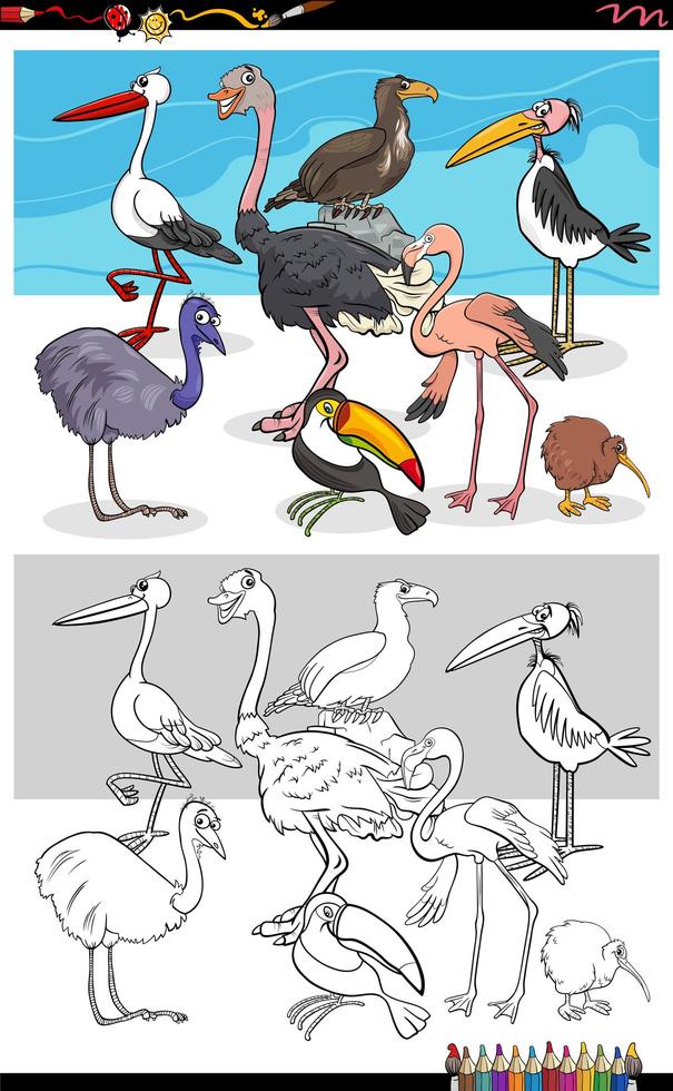 caricatura, divertido, aves, grupo, libro colorear, página vector