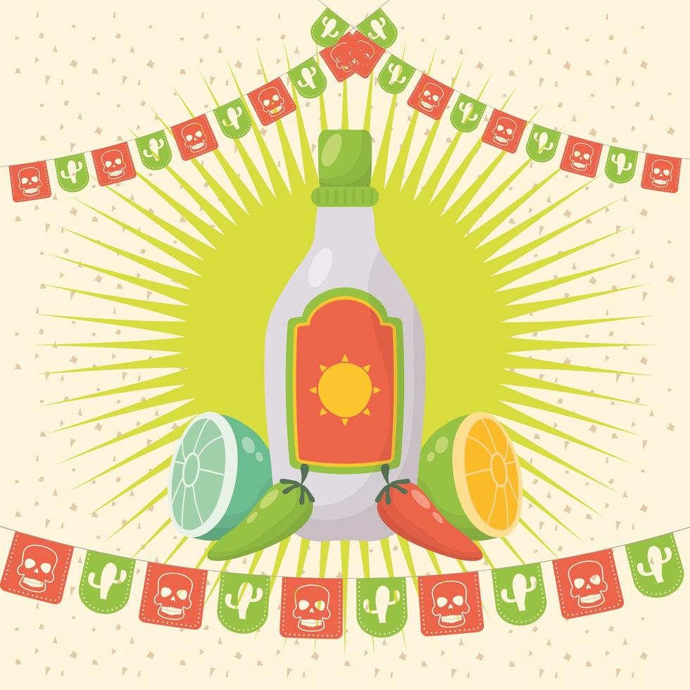 Viva Mexico celebration with tequila bottle vector