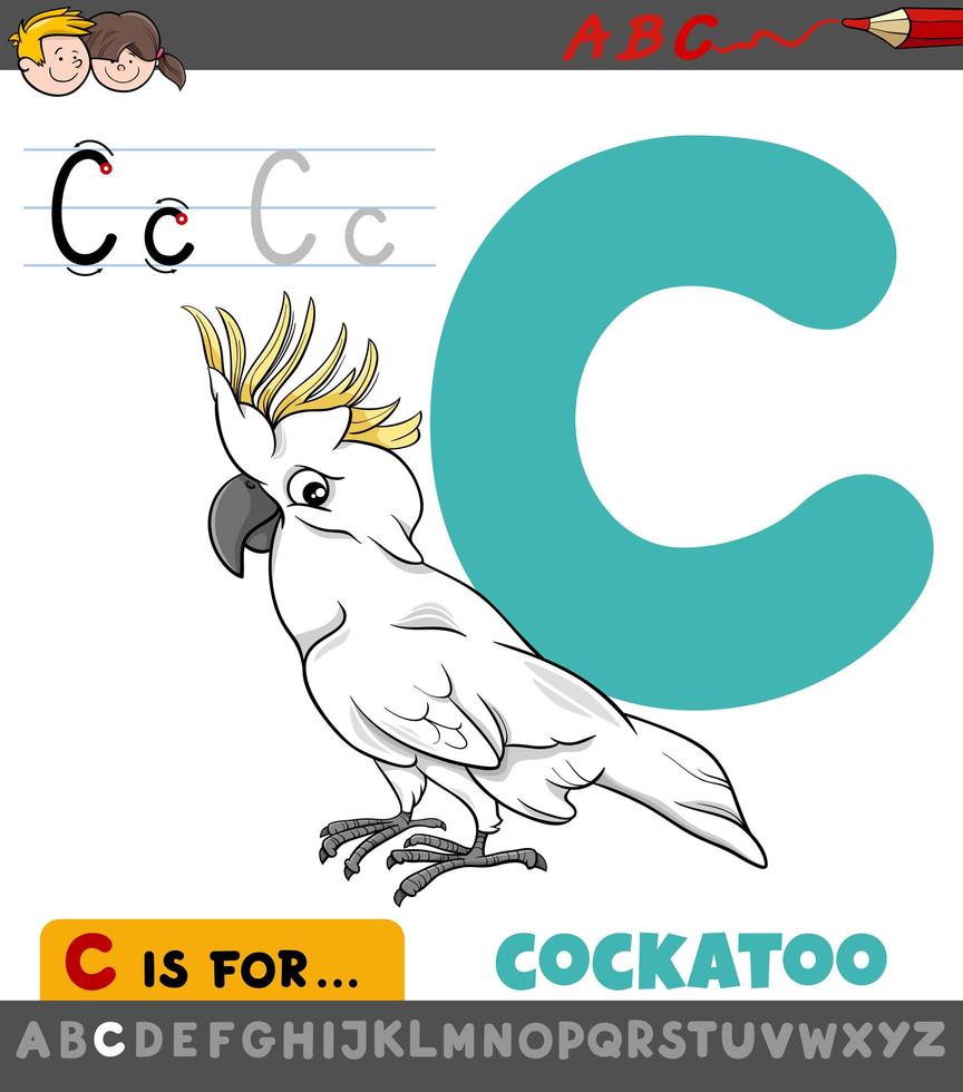 hoja de trabajo de la letra c con pájaro cacatúa de dibujos animados vector