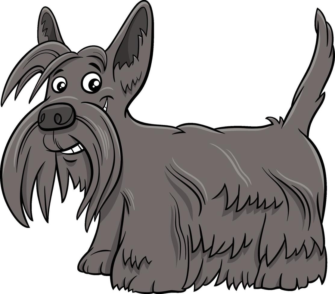 Ilustración de dibujos animados de perro de raza pura Scottish Terrier vector