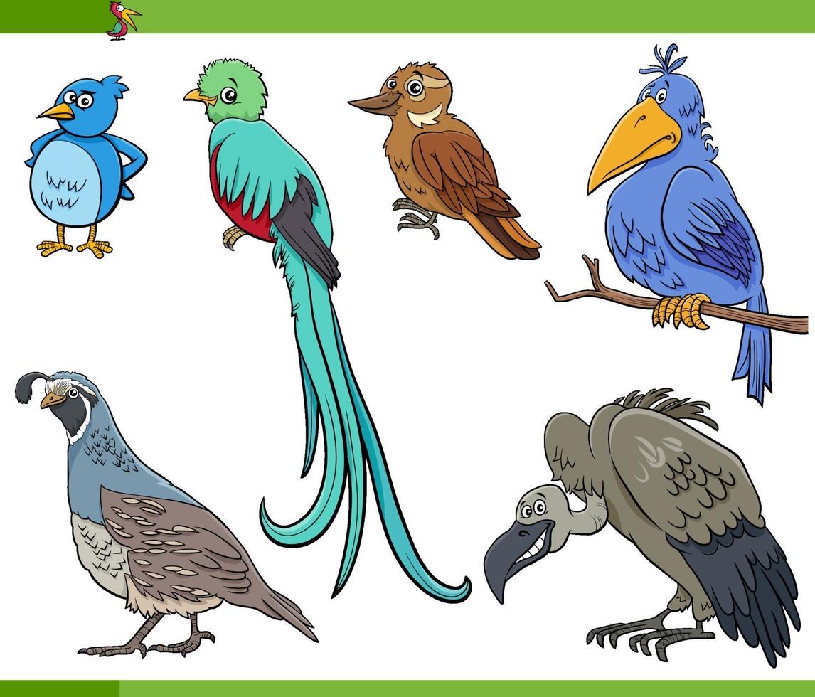 cartoon birds species animal characters set vector