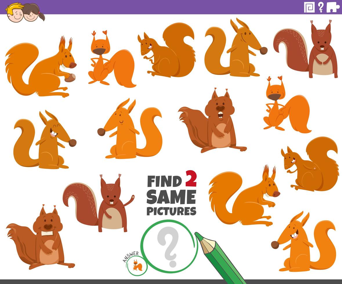 find two same squirrels educational game for children vector