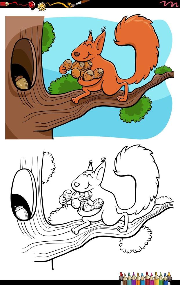 cartoon funny squirrel with acorns coloring book page vector