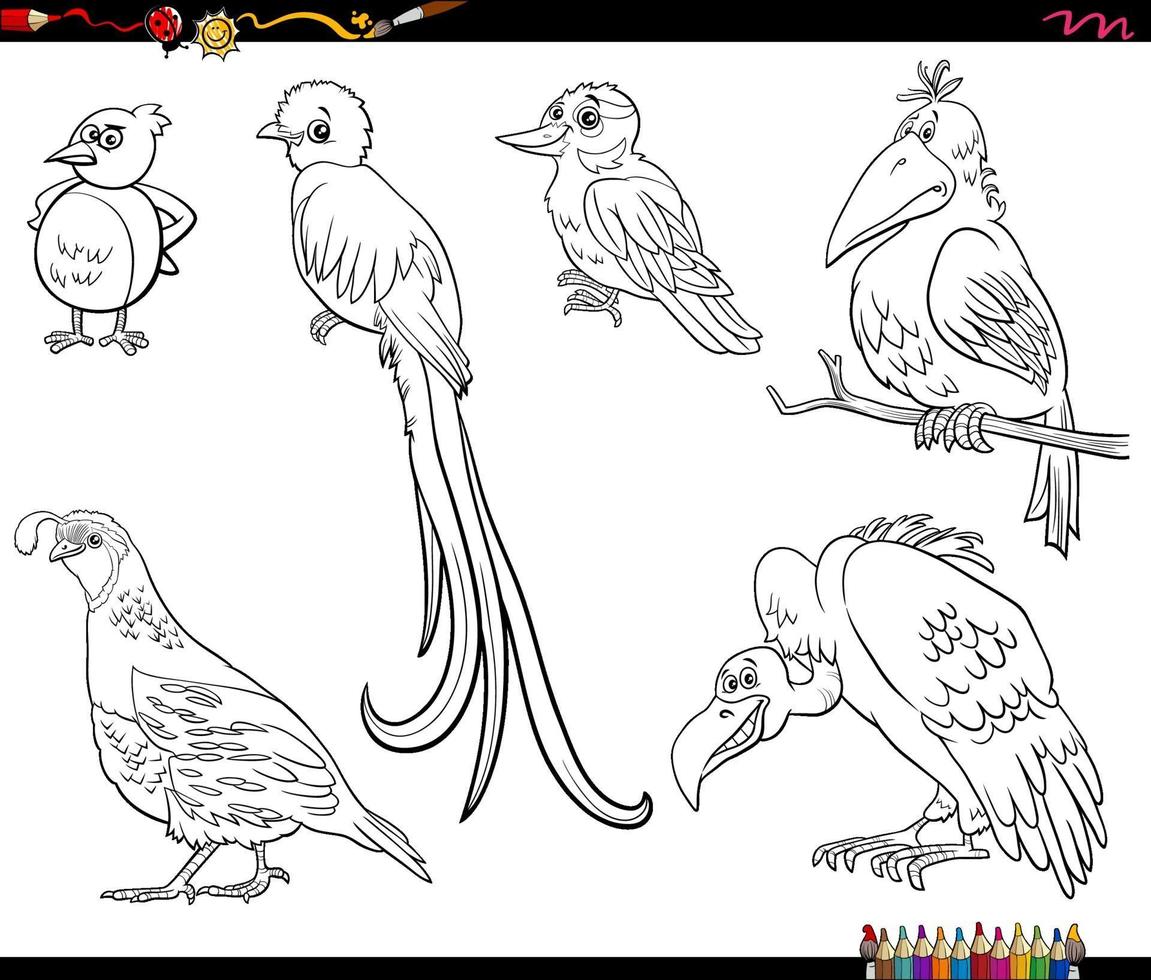 cartoon birds animal characters set coloring book page vector