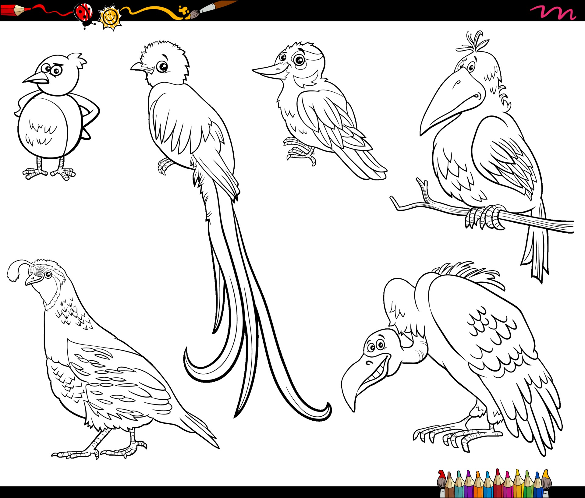 Download Cartoon Birds Animal Characters Set Coloring Book Page 1942834 Vector Art At Vecteezy