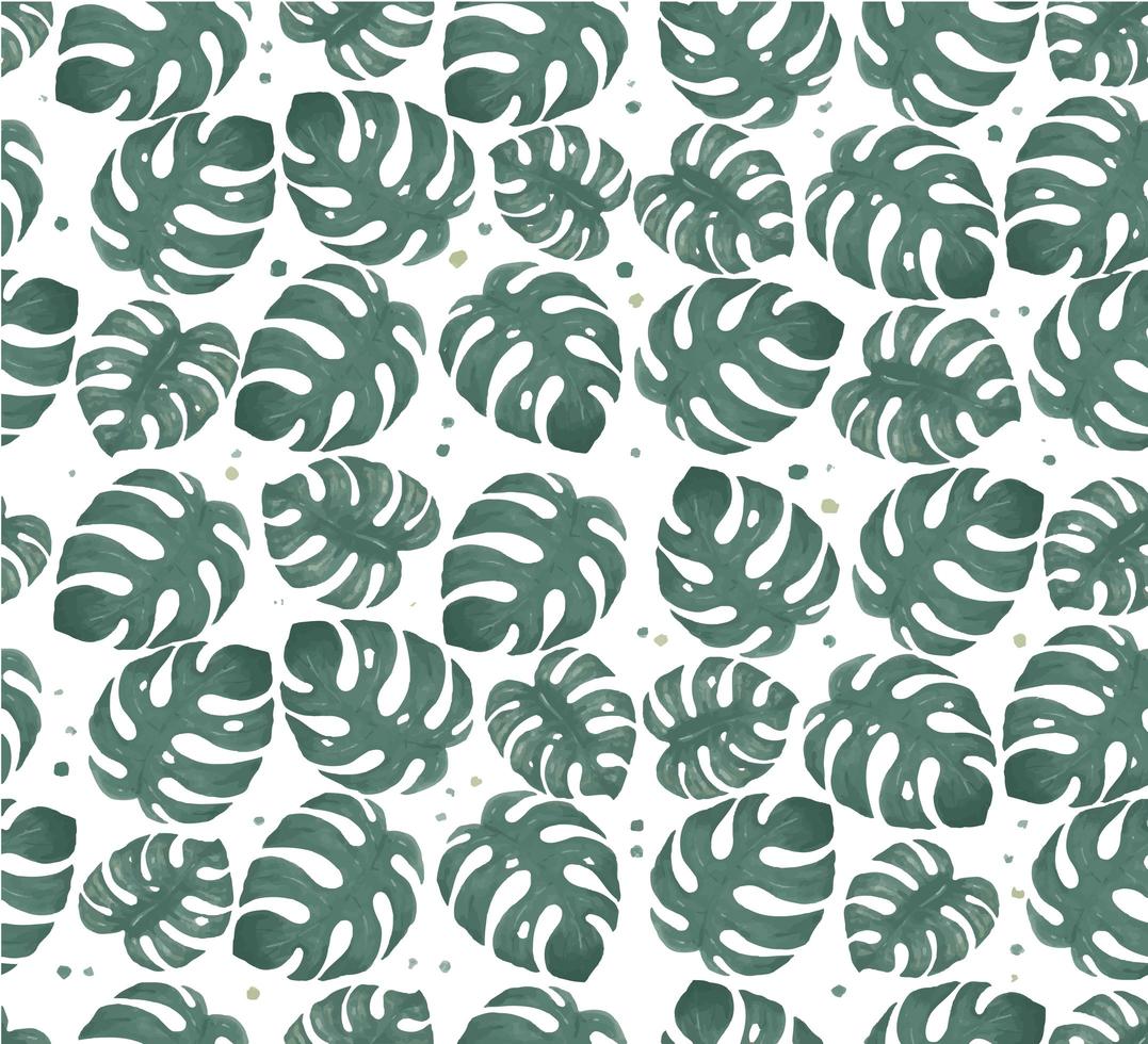 acuarela monstera hoja de fondo transparente vector