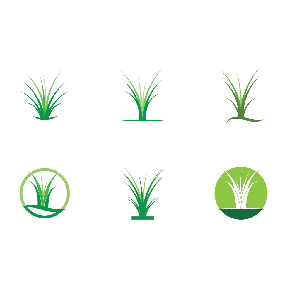 Set of healthy natural grass and yard icons vector