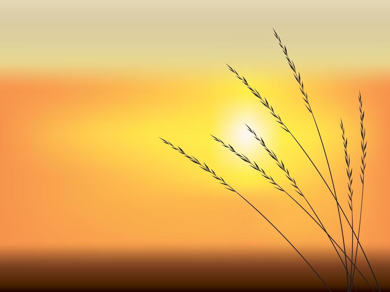 puesta de sol sobre el campo en ilustración vectorial gráfico vector