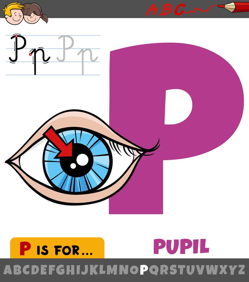 letra p del alfabeto con pupila del ojo vector