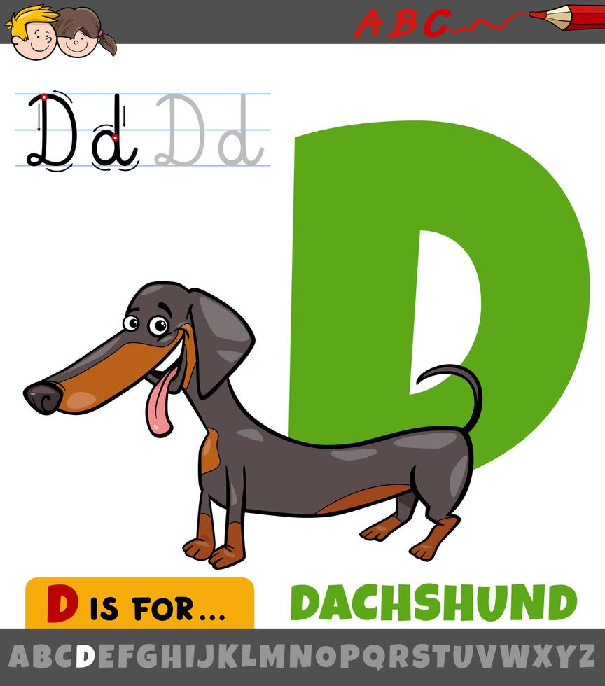 letter D worksheet with cartoon dachshund dog vector