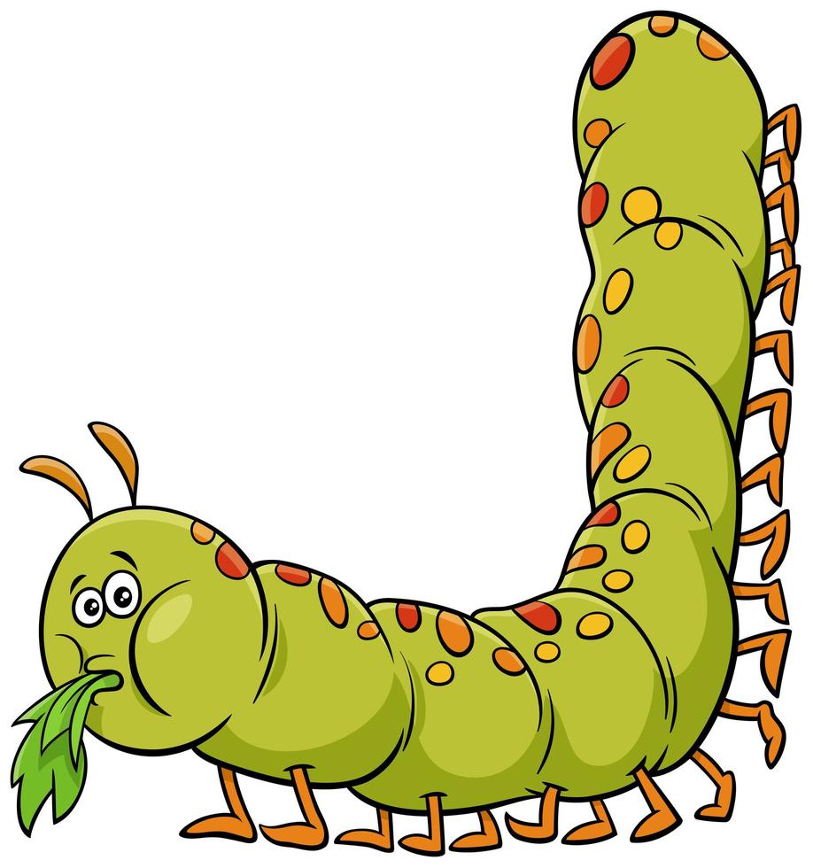 cartoon caterpillar insect animal character vector