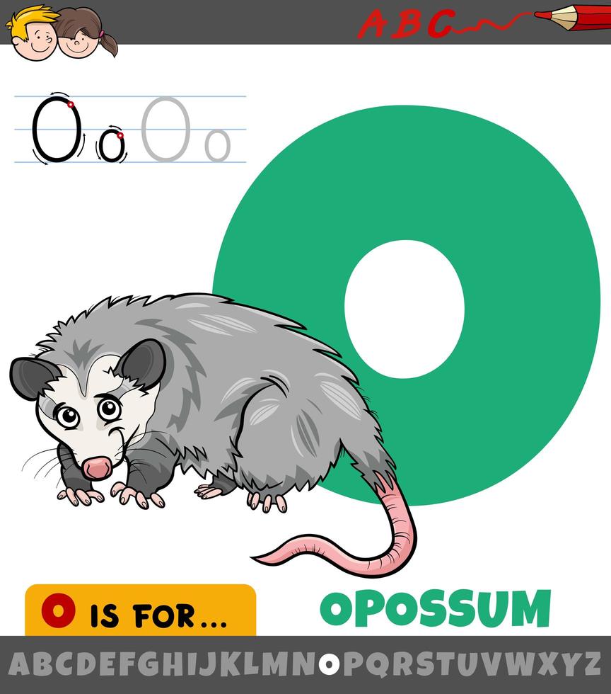 letter O from alphabet with opossum animal vector