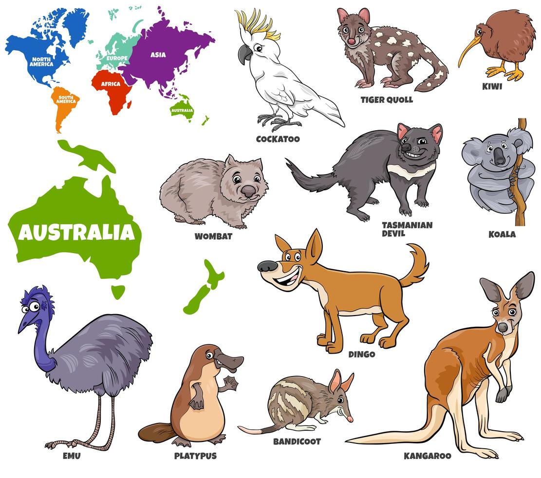 ilustración educativa de animales australianos establecidos vector