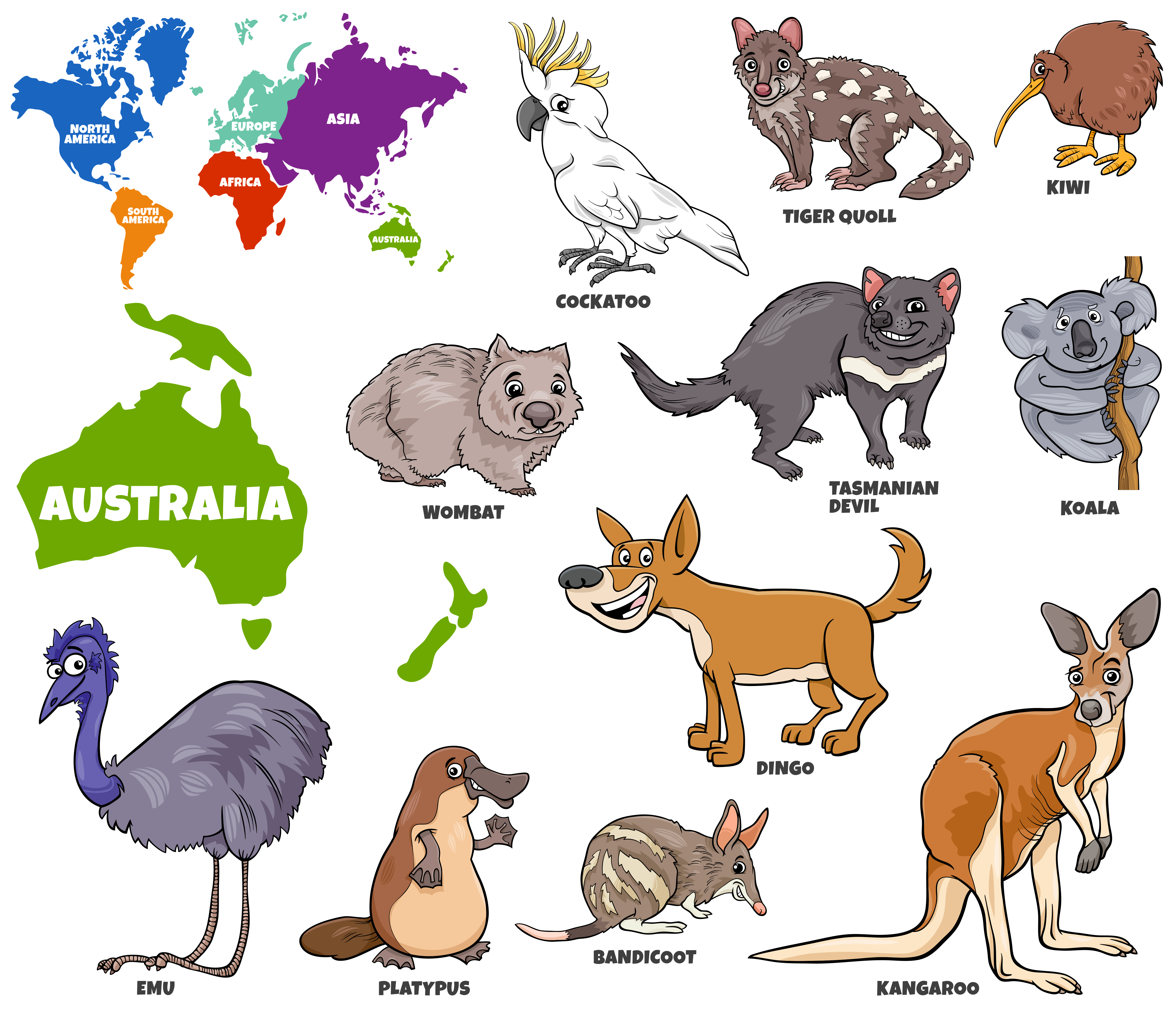 educational illustration of Australian animals set 1945339 Vector Art at
