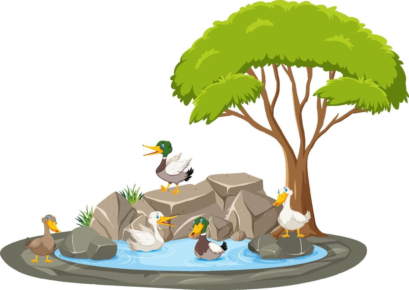 Escena de estanque aislado con muchos patos. vector