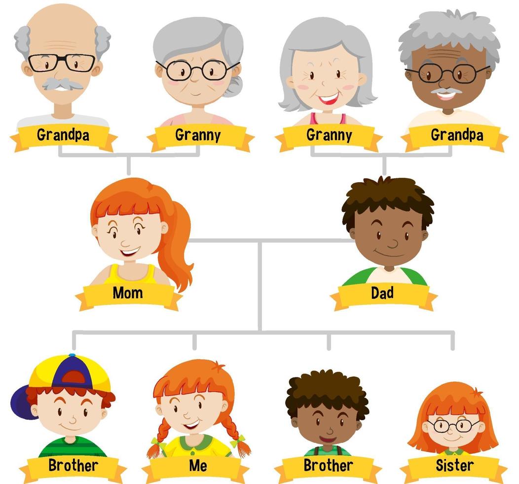 diagrama que muestra el árbol genealógico de tres generaciones vector