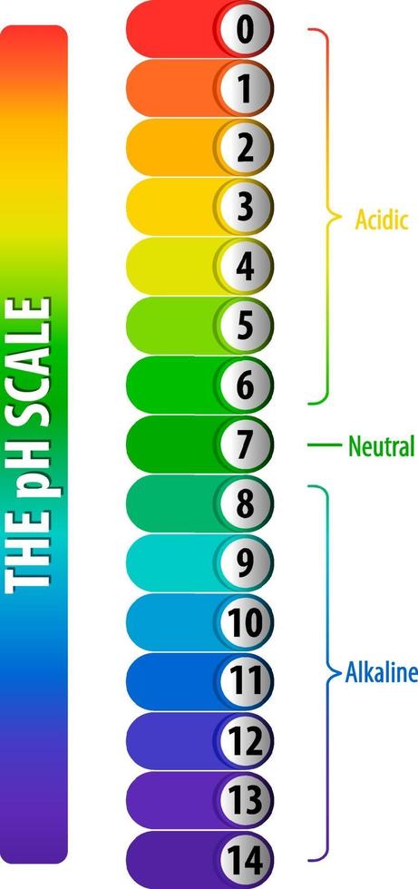 A pH scale on white background vector