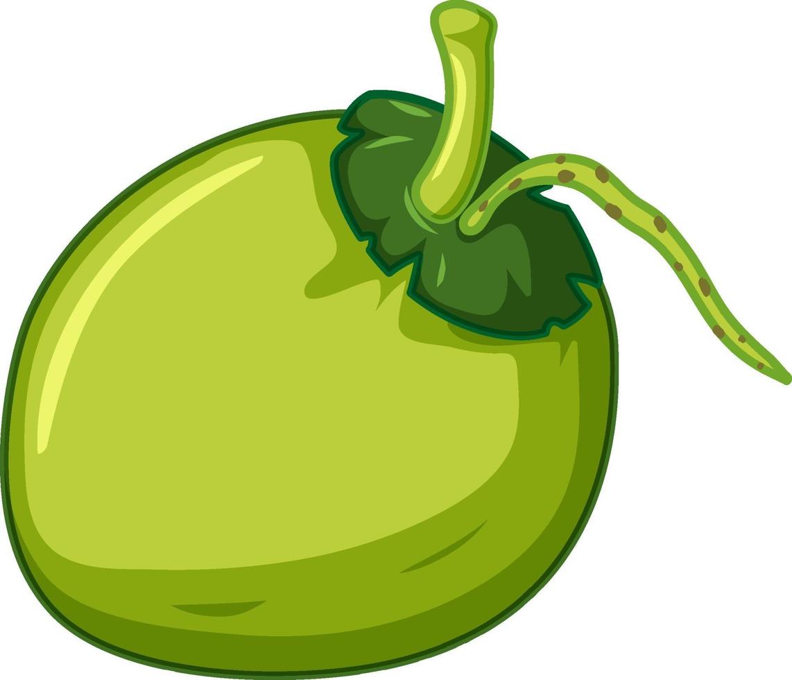 Simple coconut on white background 1945766 Vector Art at Vecteezy