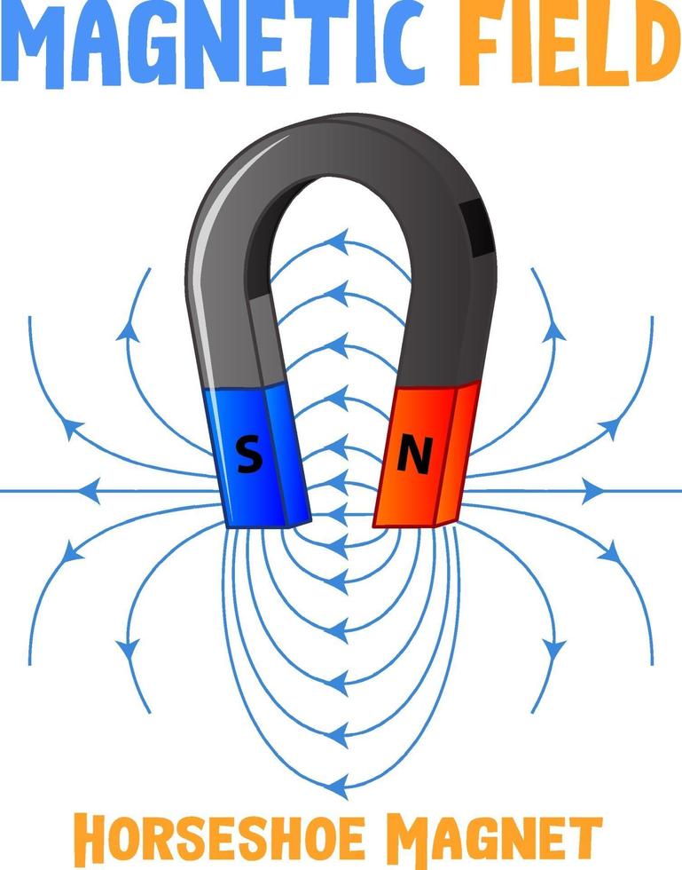 Magnetic field of horseshoe magnet vector