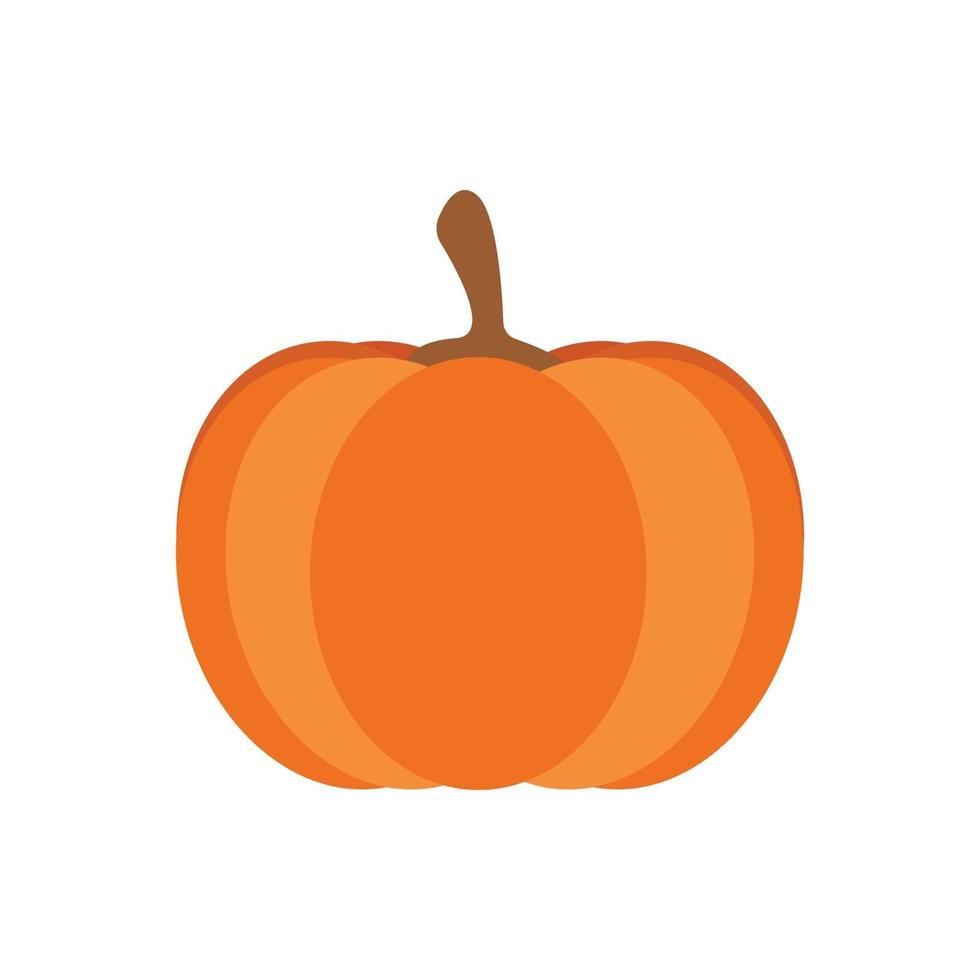 Orange pumpkin vector illustration. Autumn halloween pumpkin, vegetable graphic icon or print, isolated on white background