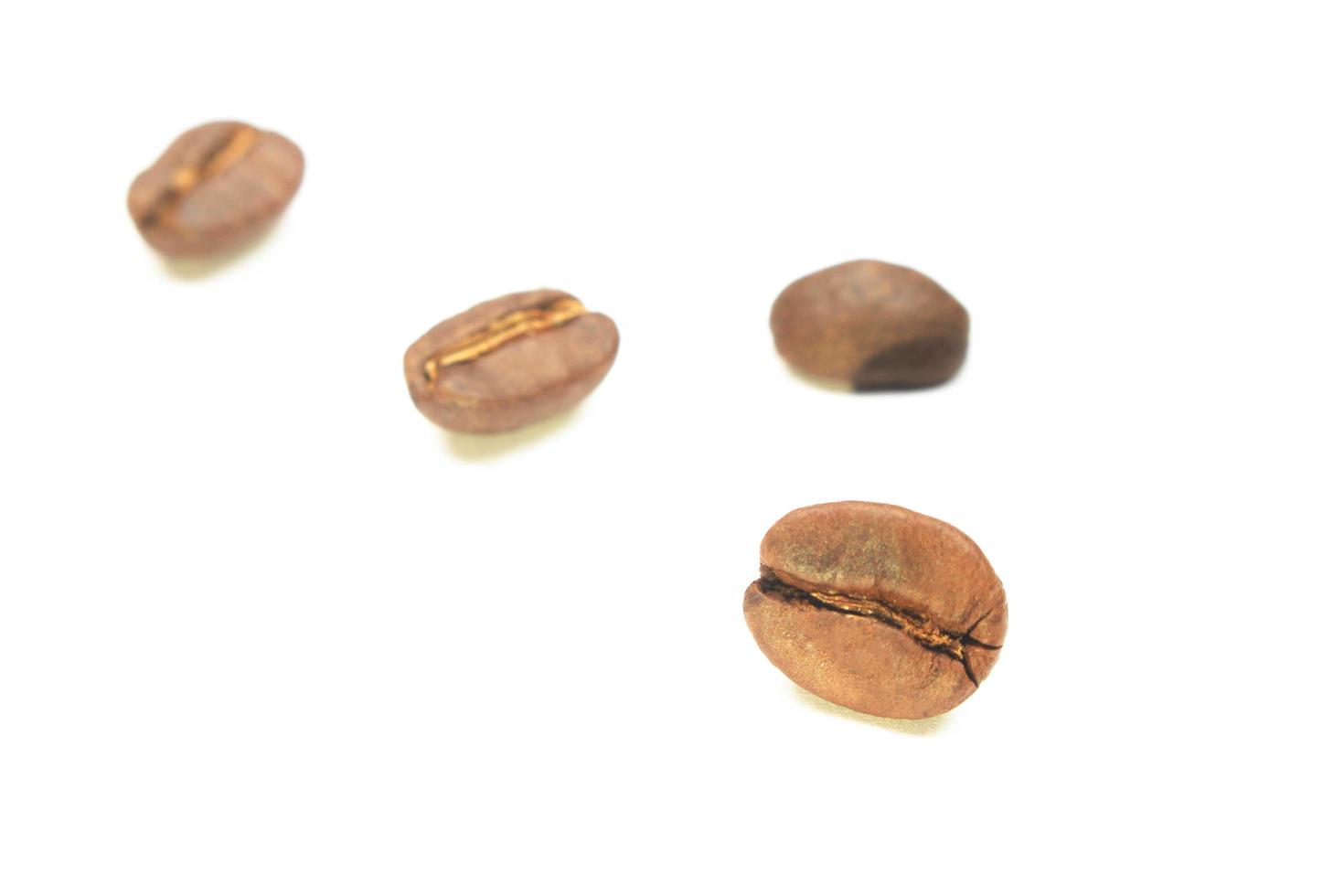 Four coffee beans photo