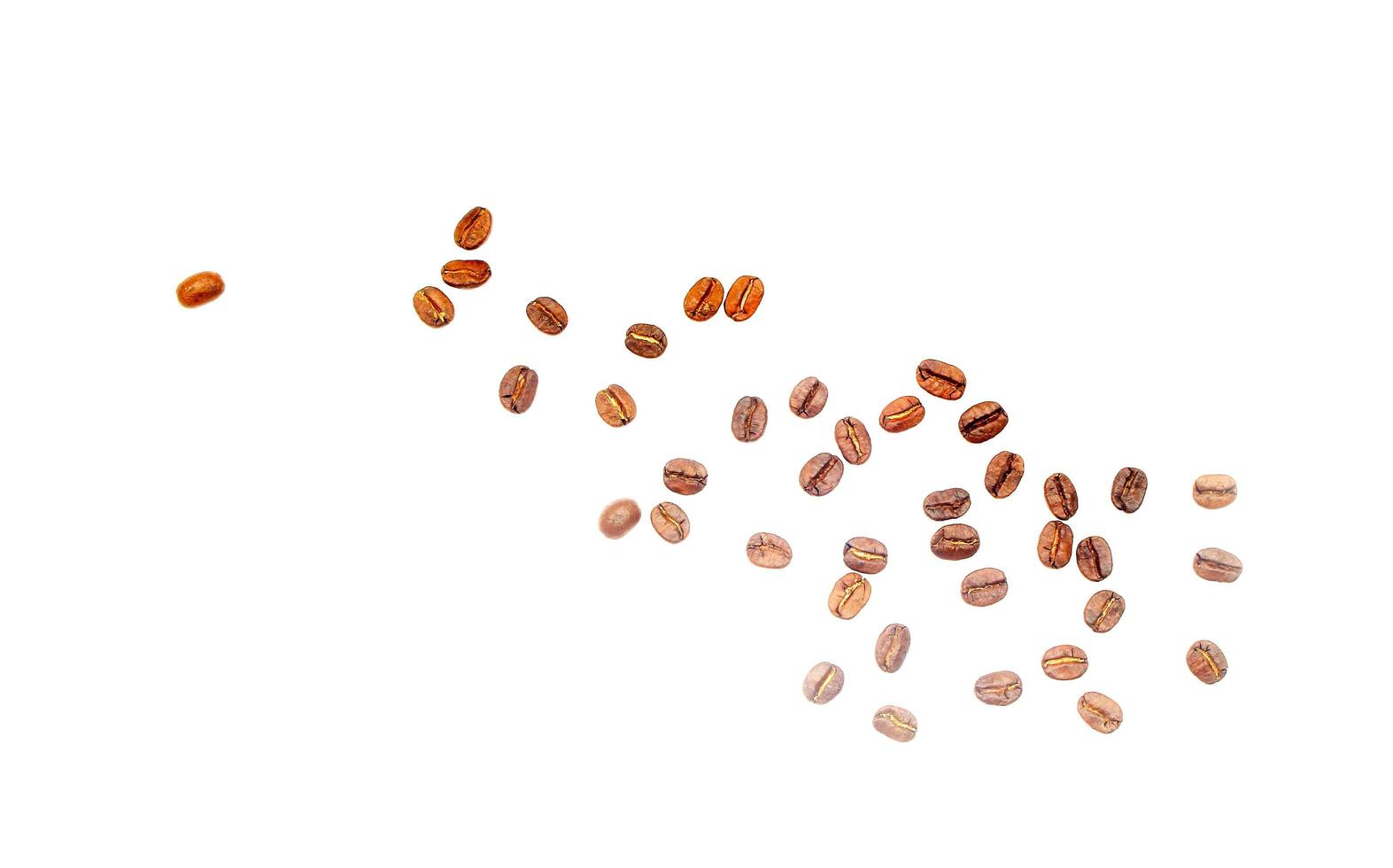 Coffee beans isolated photo