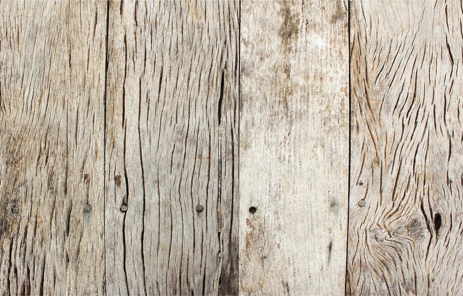 superficie de textura de madera clara foto