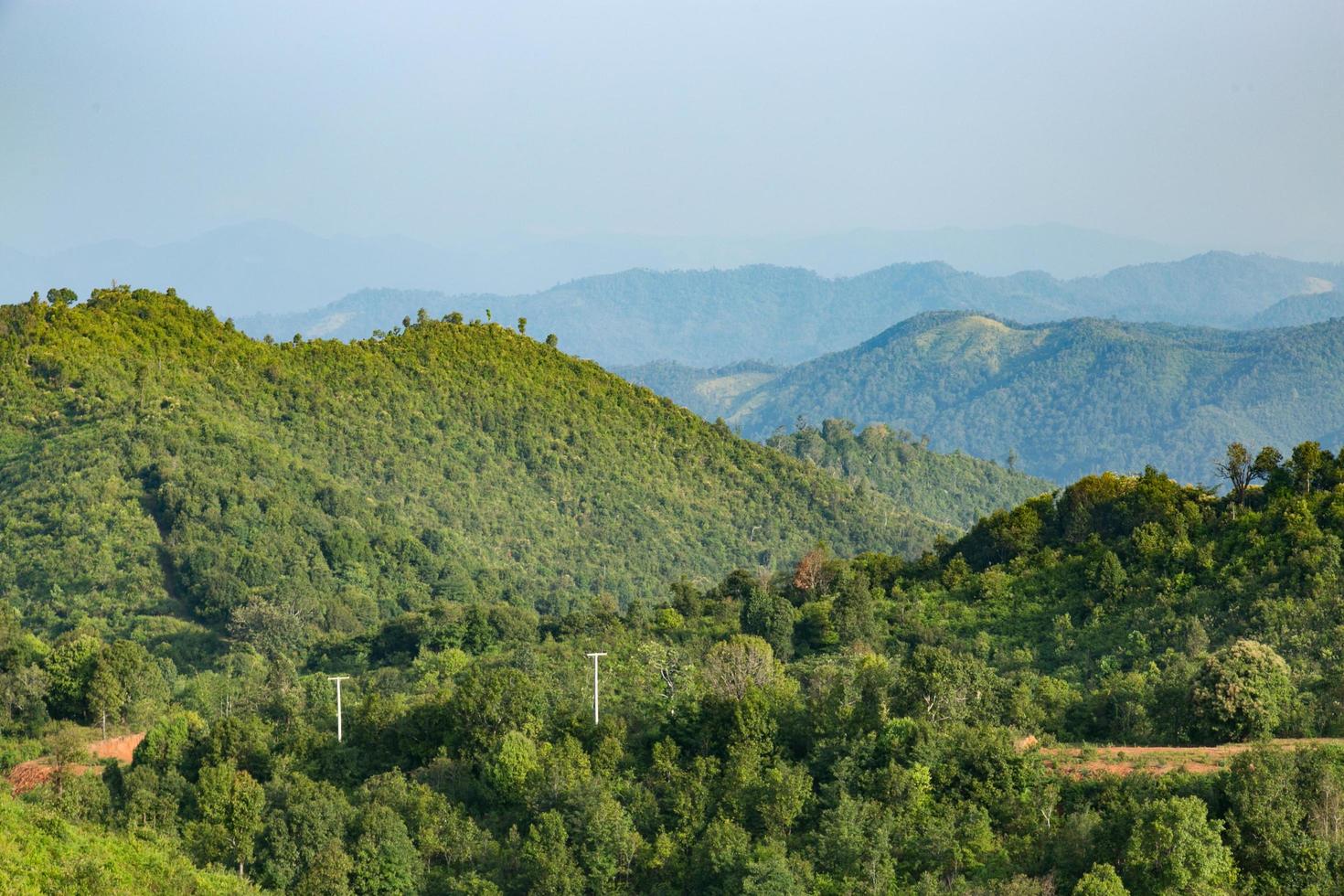 bosques y montañas en tailandia foto