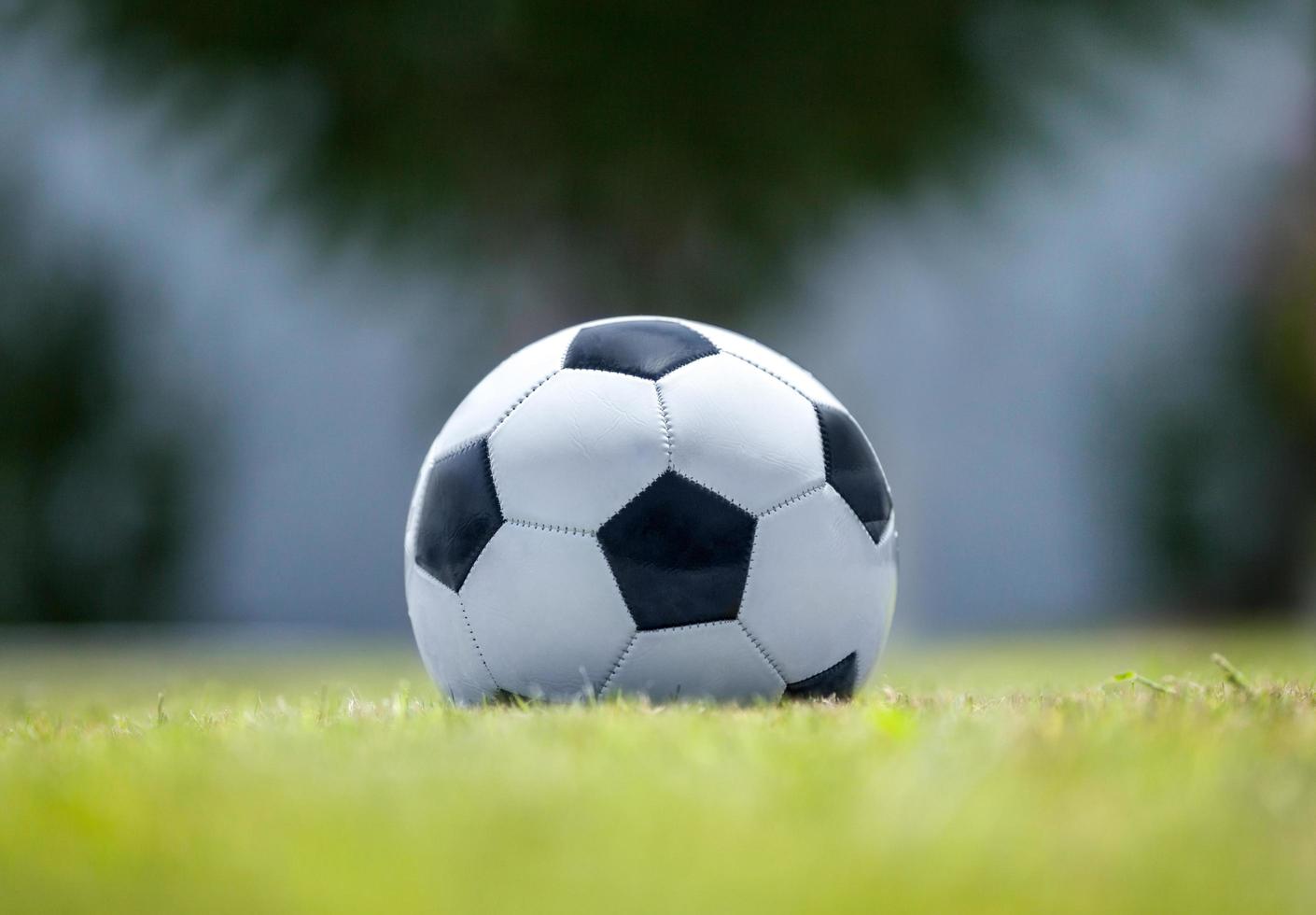 Soccer ball on green grass photo