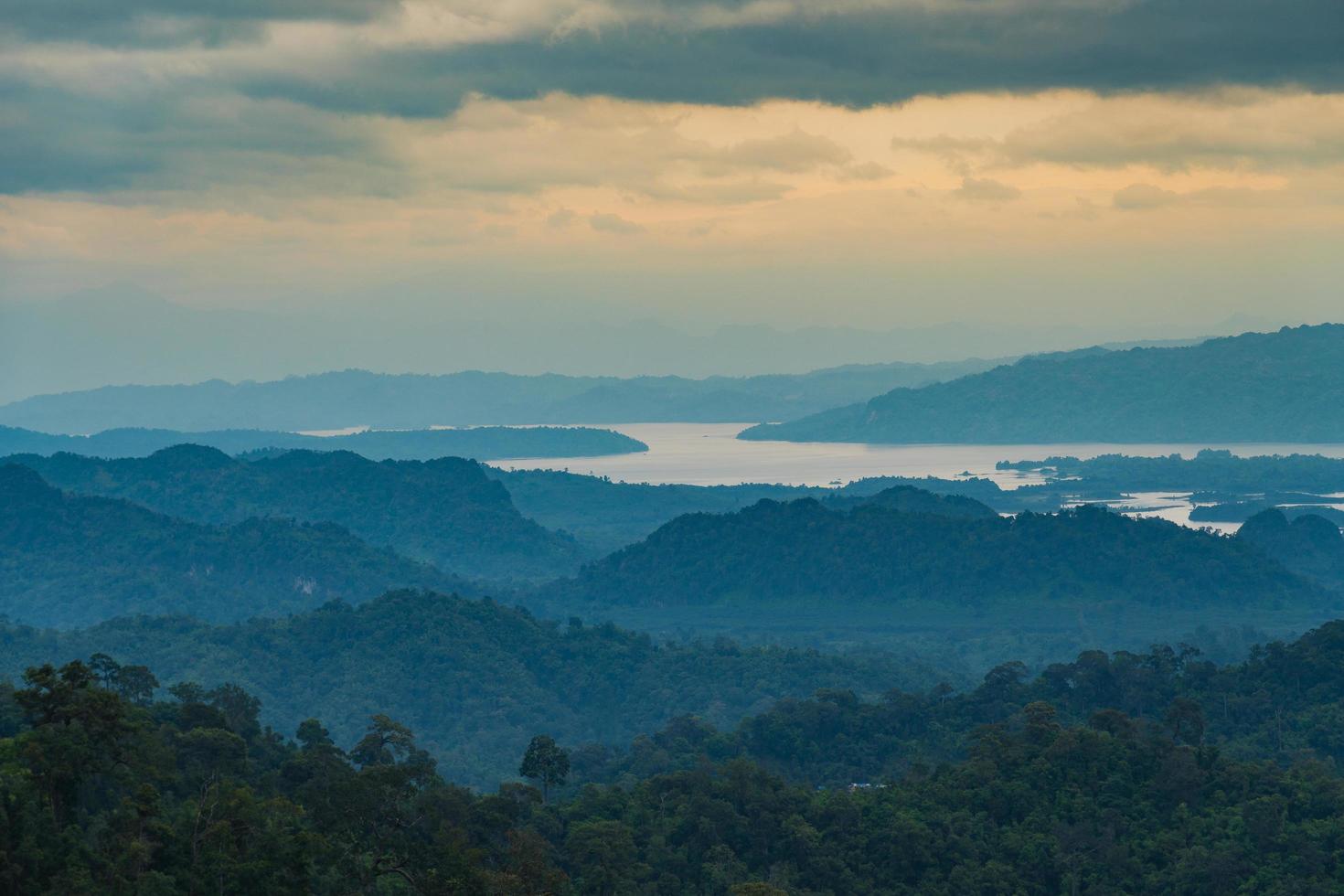 bosque cubierto de niebla en tailandia foto