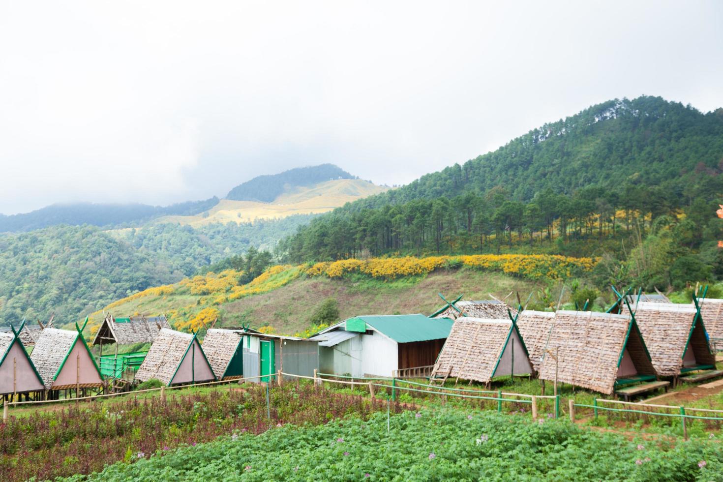 Cottages at a farm in Thailand. photo