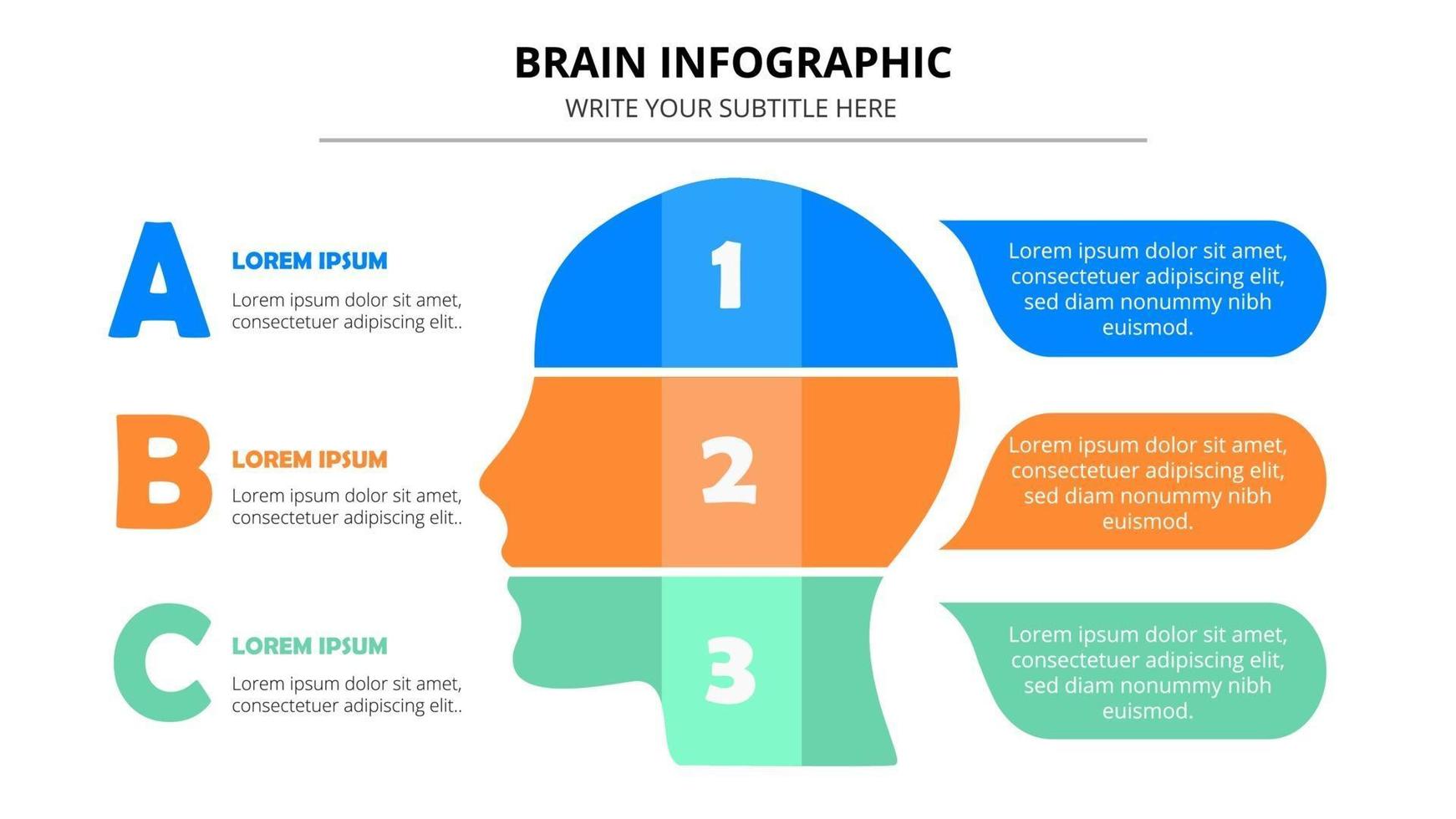 plantilla de infografía cerebro colorido vector