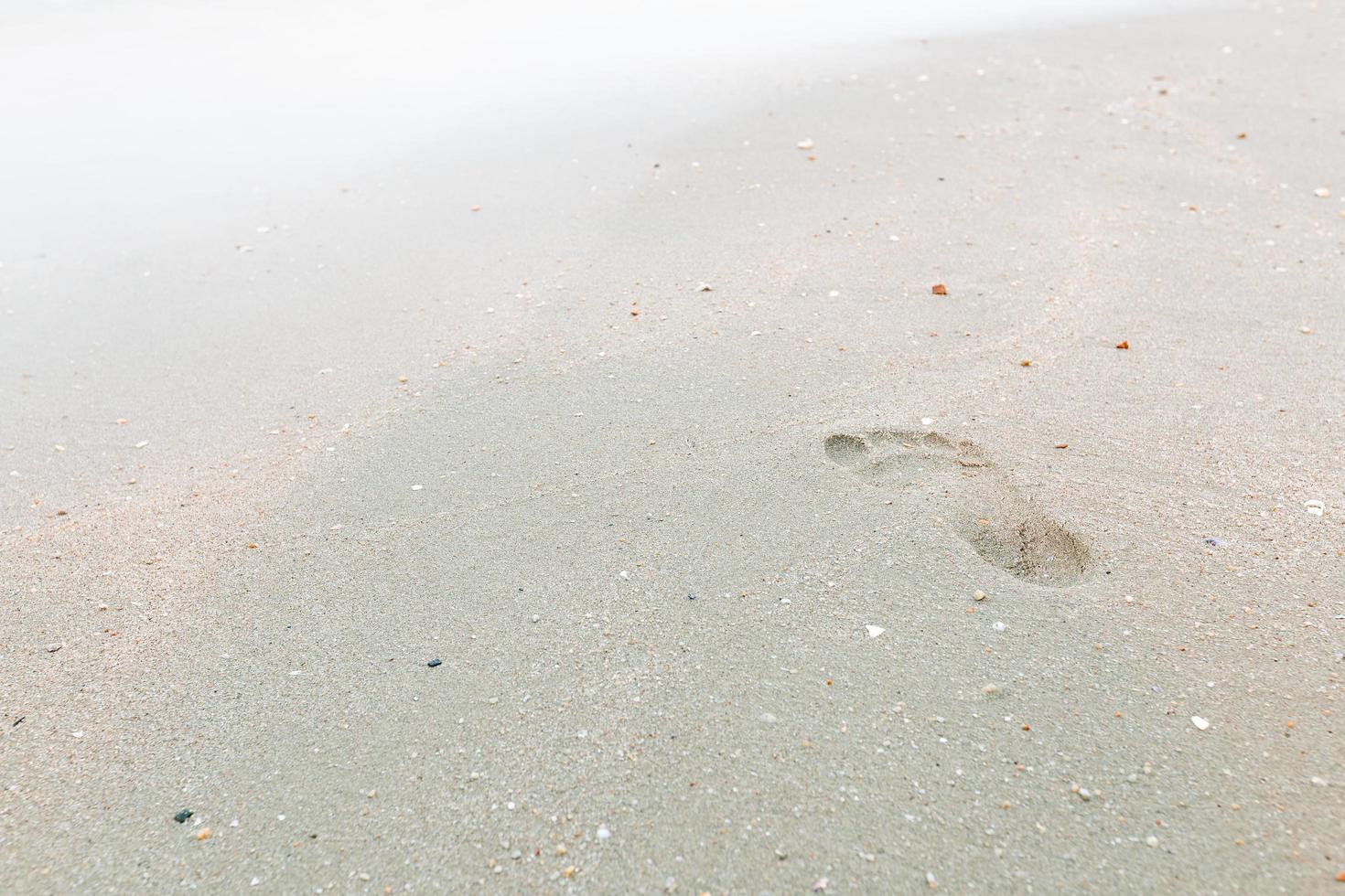 Footprint on the beach photo
