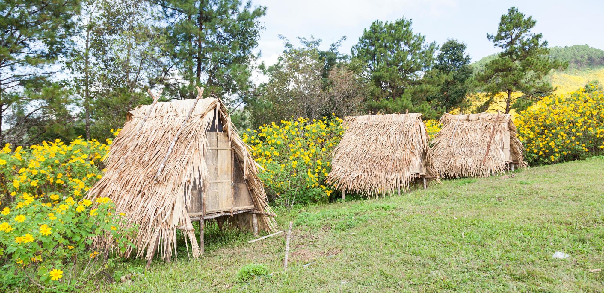 Hut on the lawn photo