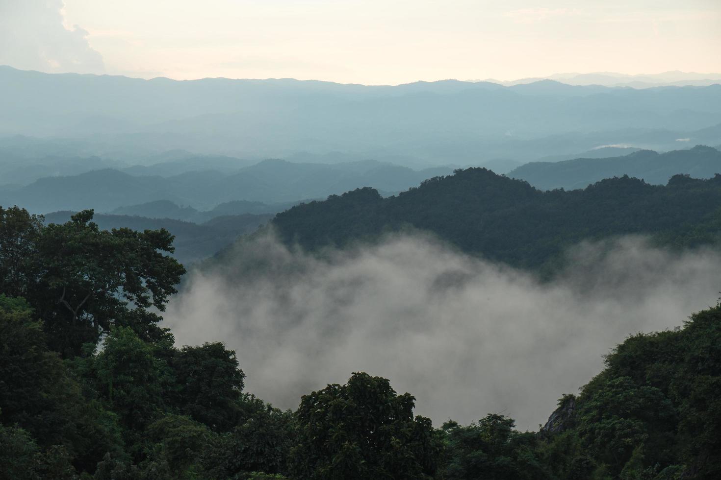 bosque cubierto de niebla en tailandia foto