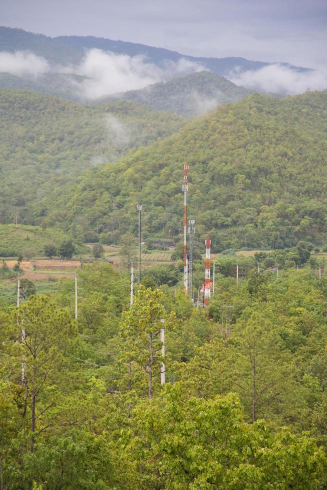 Telecommunications towers in the forest photo