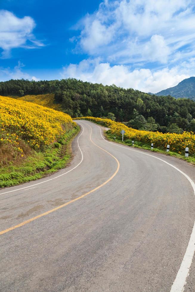 Road at top of the mountain photo