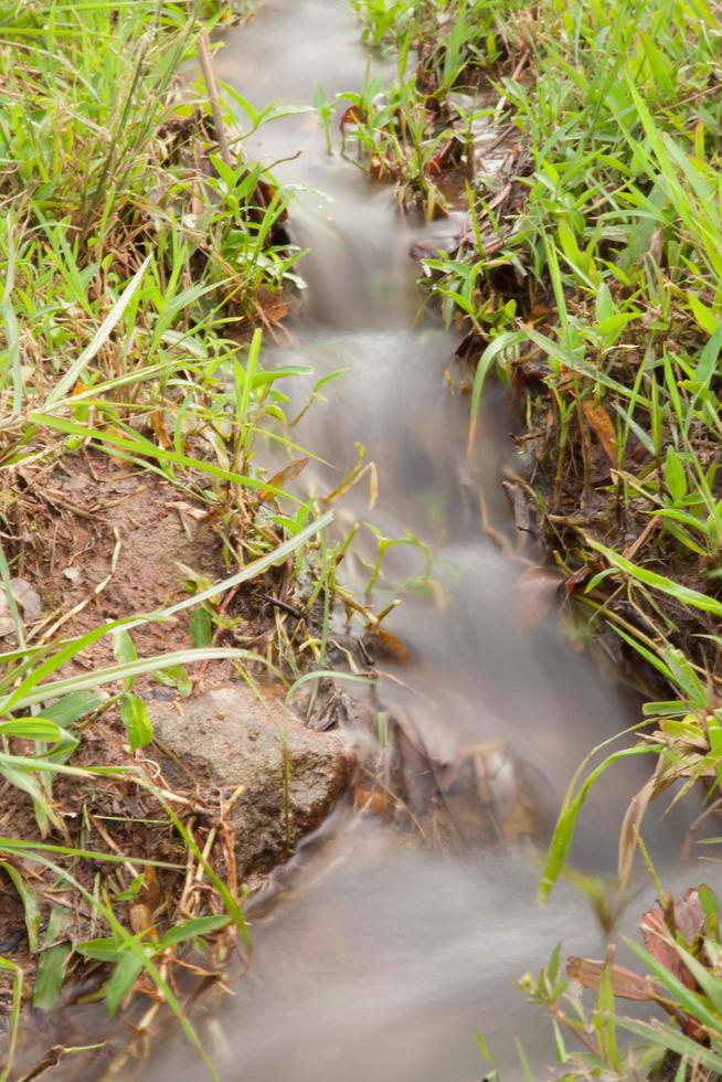 Stream in the grass photo