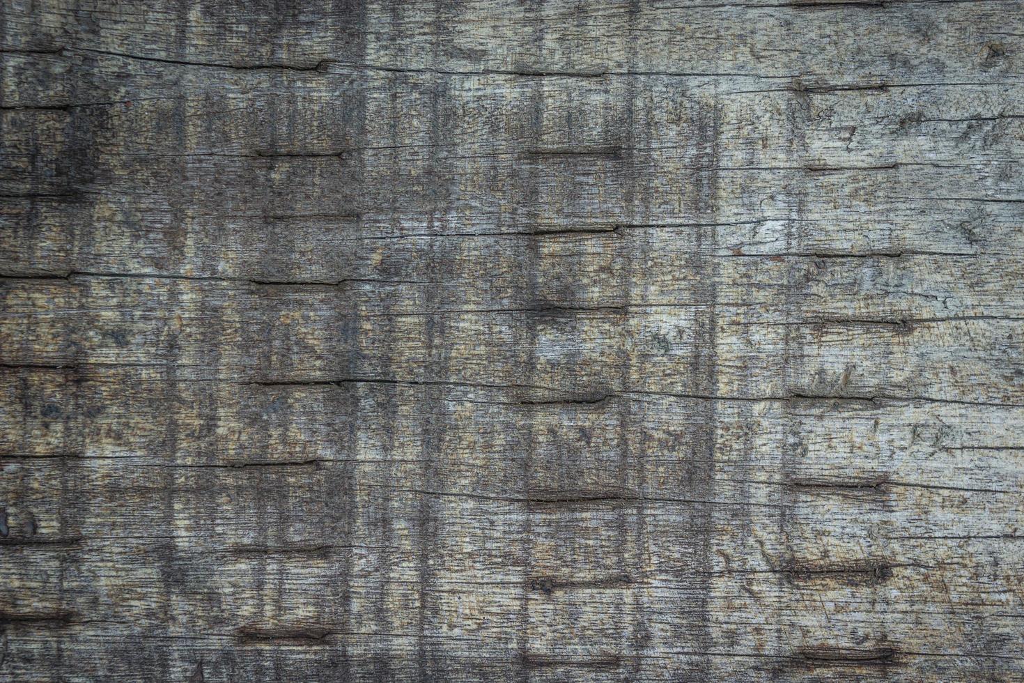 Primer plano de la pared de madera gris de textura o fondo foto