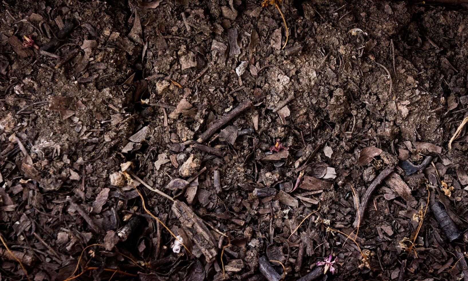 Close-up of soil for texture or background photo