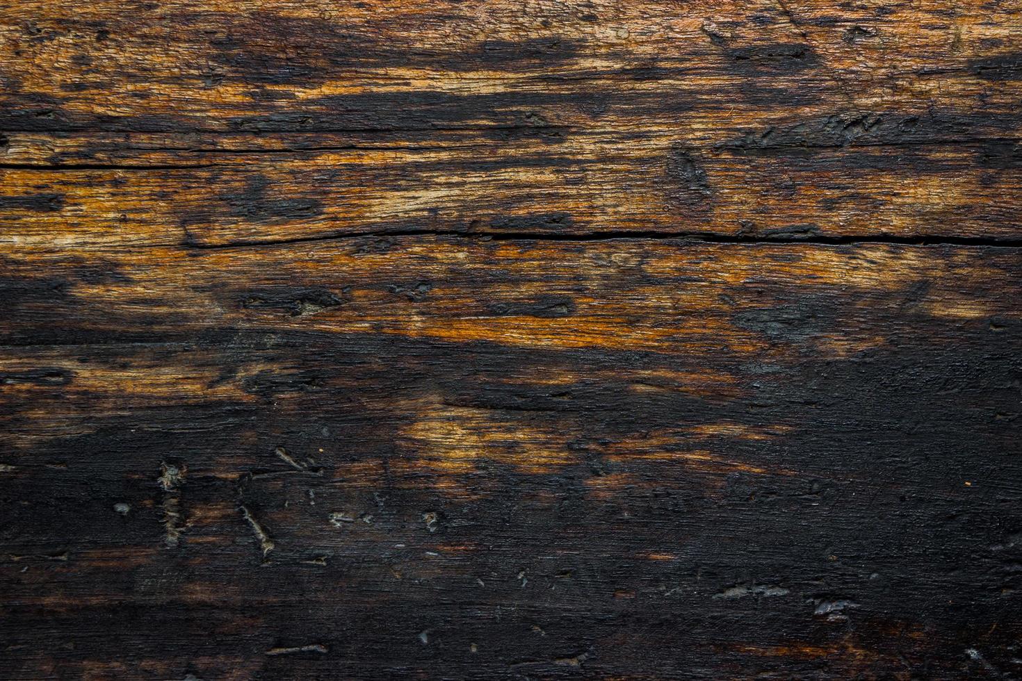 Close-up of charred or burned wood wall for texture or background photo