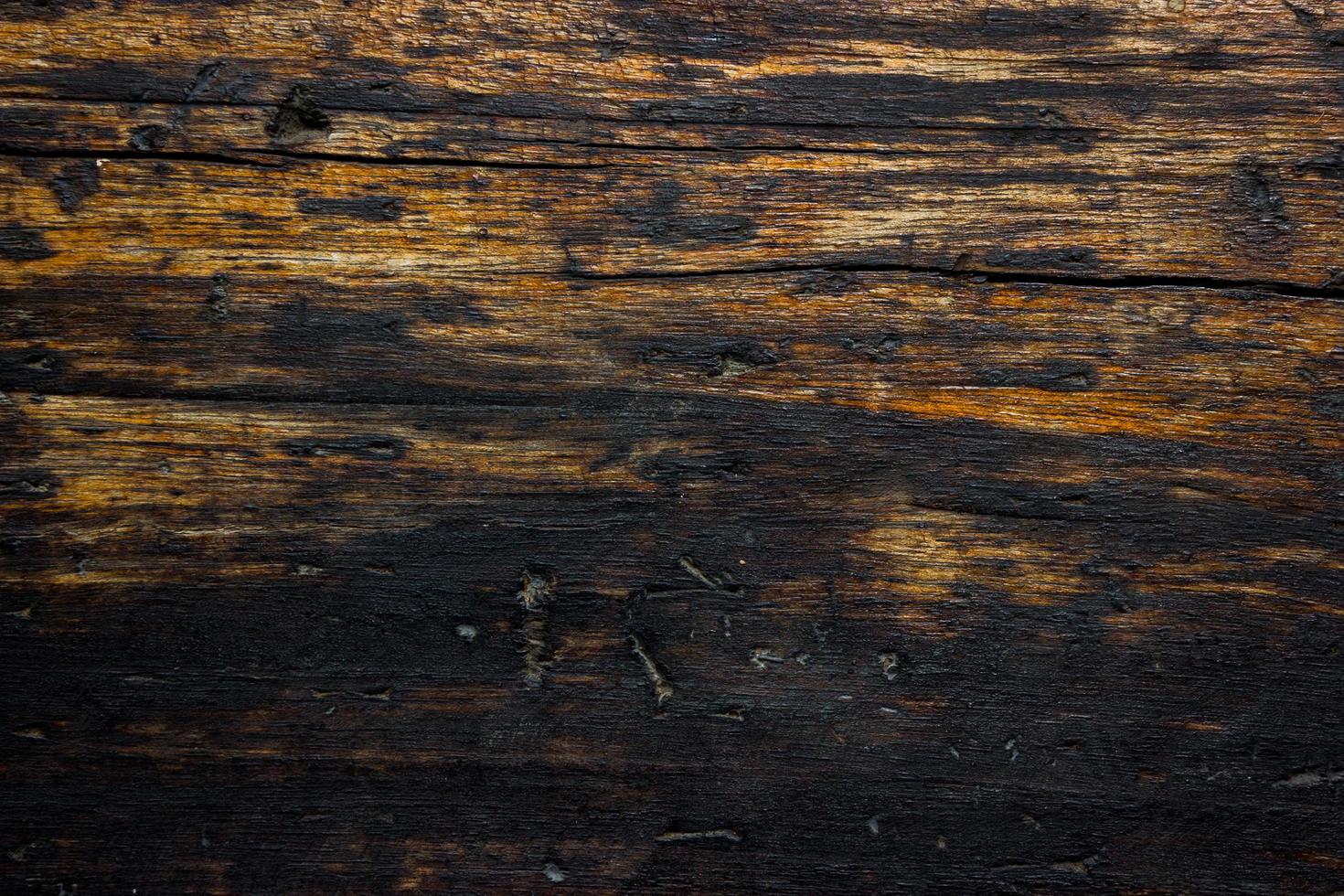 Close-up of charred or burned wood wall for texture or background photo