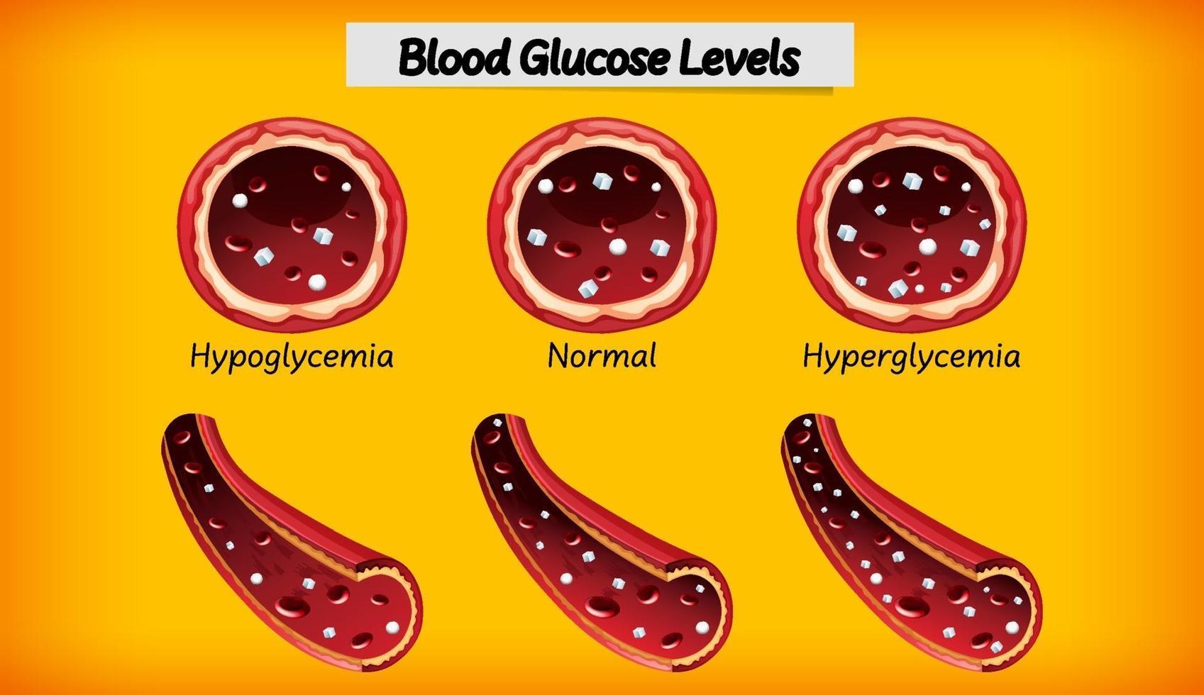 nivel médico de glucosa en sangre vector