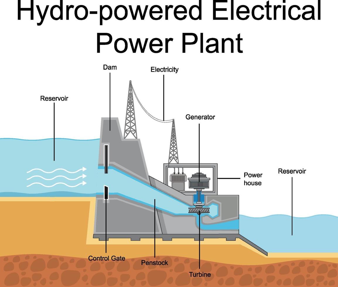 diagrama que muestra la planta de energía eléctrica hidroeléctrica vector