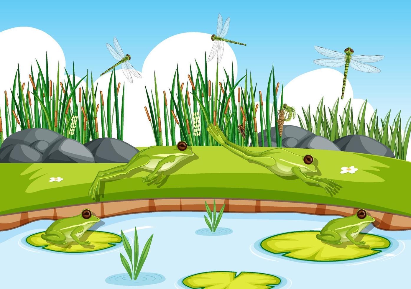 Many green frogs and dragonfly in the pond scene vector